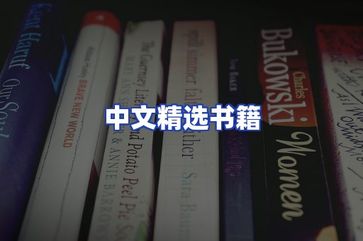 中文精选书籍